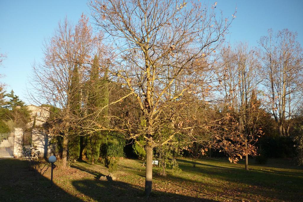 B&B Alle Terme Viterbo Eksteriør billede