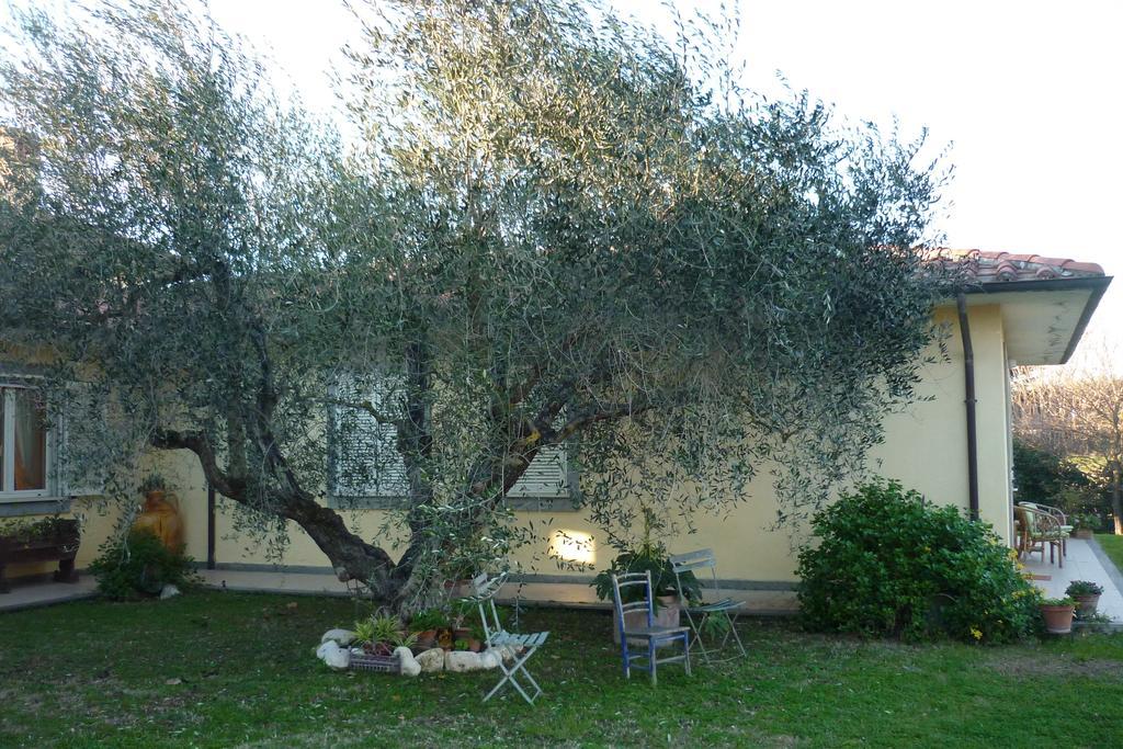 B&B Alle Terme Viterbo Eksteriør billede